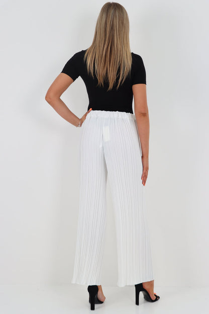 Pleated Trousers